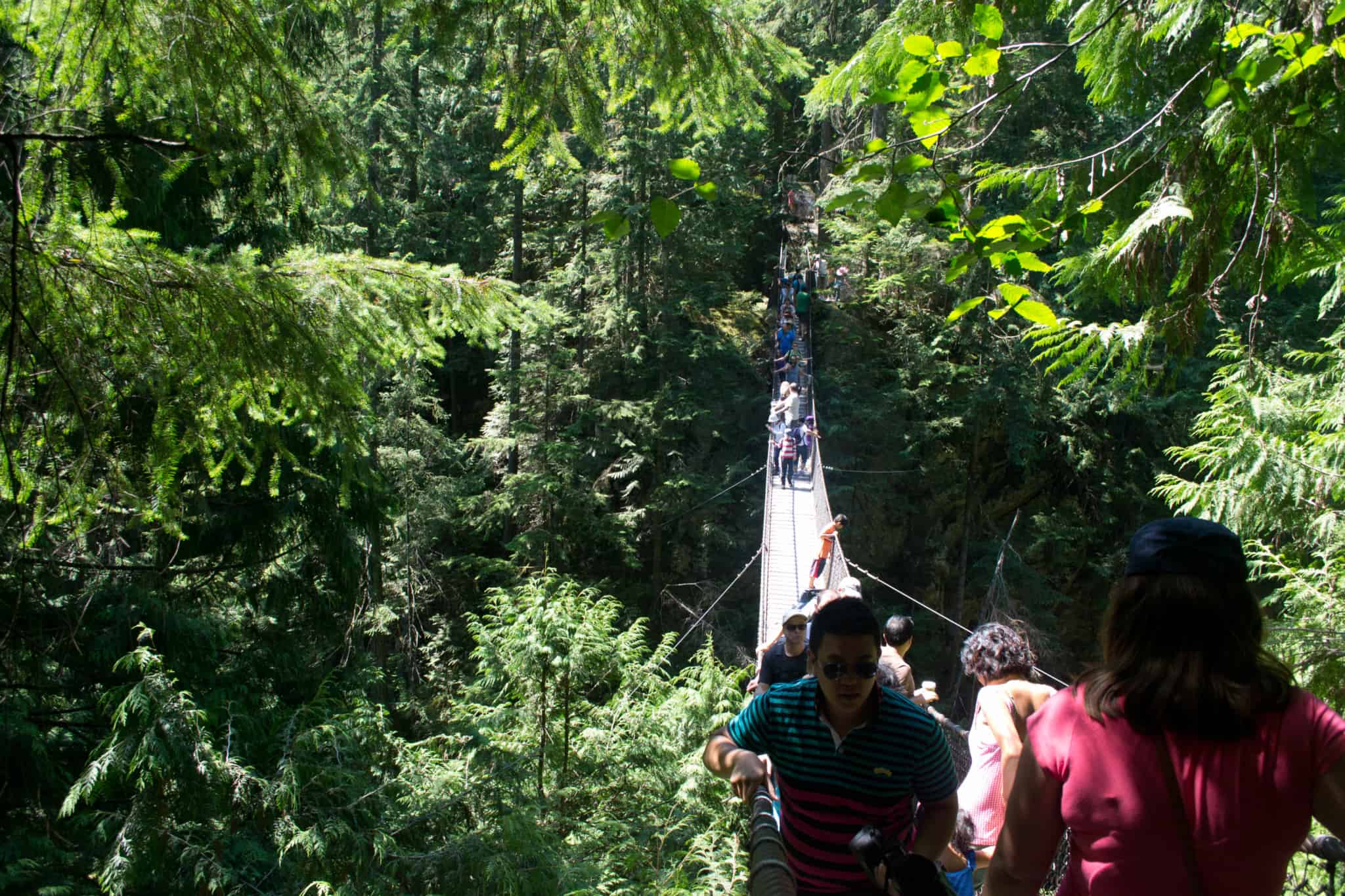Into the Canyon, Lynn Canyon That Is…