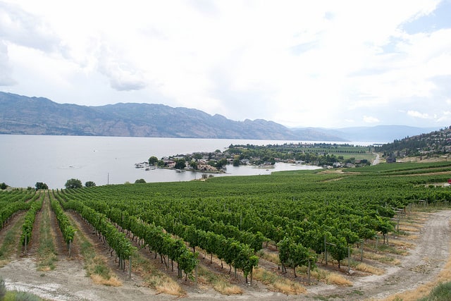 West Kelowna Wineries: A Self-Guided Winery Tour!