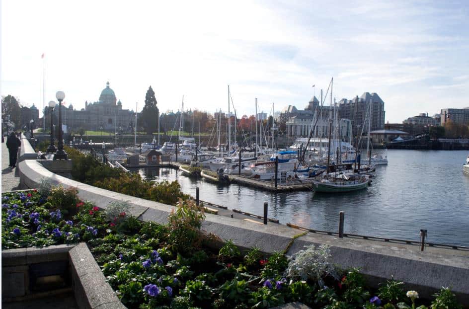 Top 5 Things to Do in Victoria, BC