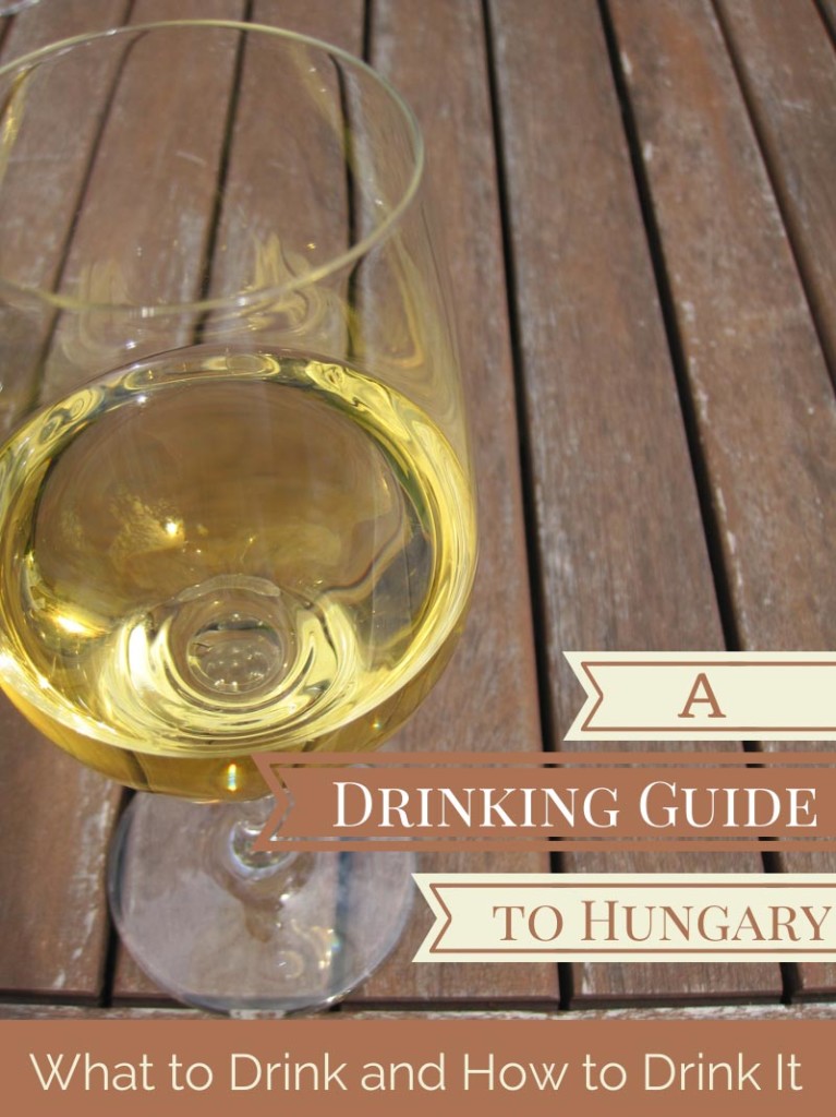 A Drinking Guide to Hungary - What to Drink and How to Drink It