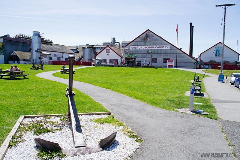 Learning How To Can Fish at the Gulf of Georgia Cannery
