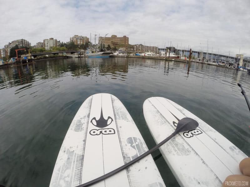 How Not to Learn How to Paddleboard (or Why You Shouldn’t Go Paddleboarding For the First Time at Granville Island)