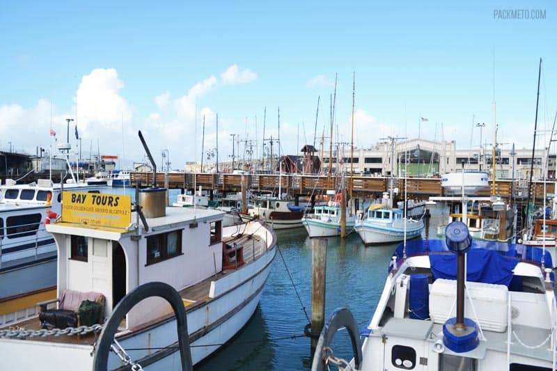 A Tourist Trap or a Must Visit? Exploring San Francisco’s Fisherman’s Wharf & Pier 39