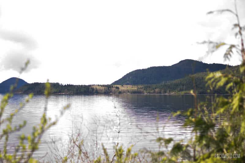 From City to Sea: Things To Do On the Drive to Tofino