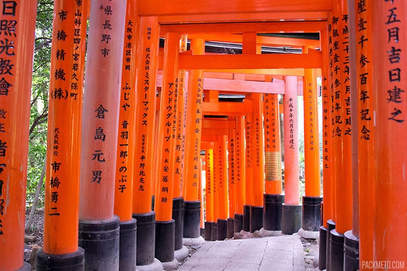 Highlights from 12 Days in Japan