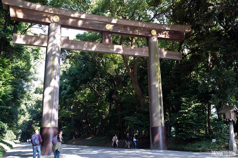 Inside Yoyogi Park: Tranquility in the Heart of Tokyo