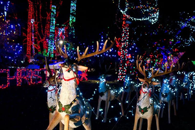 Holiday Cheer at Bright Nights in Vancouver