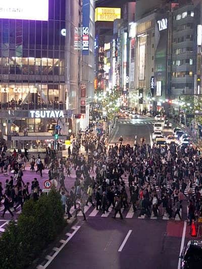 7 Free Things To Do in Tokyo